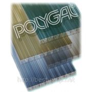 Сотовый поликарбонат Polygal Standart (Полигаль Стандарт) - 8мм. Размер: 2,1х12,0м. Цветной