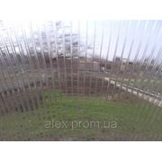 Поликарбонат сотовый LIKE 10 мм прозрачный фотография