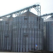 Силосы металлические вентилируемые МСВУ на бетонном основании предназначены для хранения зерновых культур, объемной массой до 840 кг/м3 фото