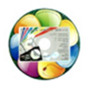 Тиражирование CD дисков фото