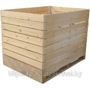 The container of the Dutch type for storage and transportation of vegetables and fruit фото