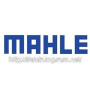 Кольца поршневые Mahle ( Мале ) фото