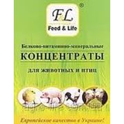 5% концентрат для молодняка кур-несушек кросса Lohmann с карофиллом от 17 до 45 недель