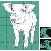 Продукция Biofaktory для свиней