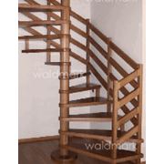 Лестницы винтовые деревянные