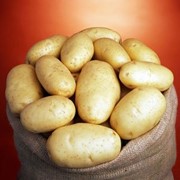 Семенной картофель класа Е,А фото