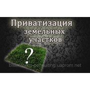 Приватизация земельных участков фото