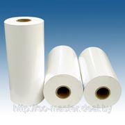 Пленка для упаковки молочной продукции, многослойная, белая (печатный рисунок 3-4 цвета) фотография