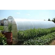 Теплица под поликарбонат Урожай Пк 3х10 (V -образный профиль из оцинкованной стали 0,8 мм) фото