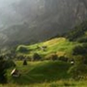 Отдых и оздоровление для всей семьи в горах Швейцарии фото