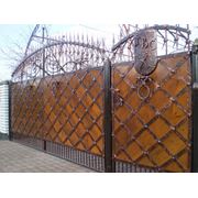 Ворота кованые. Художественная ковка производство продажа монтаж установка Украина фото