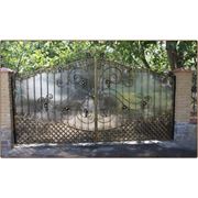 Ворота «Виноградная Лоза» от 1500 грн м² фото