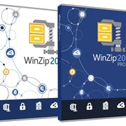Программа для перевода WinZip 20 Standard Single-User (ESDWZ20STDML)