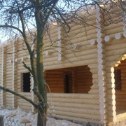 Дома деревянные срубы по Украине.Дома деревянные из оцинкованной сосны. фото