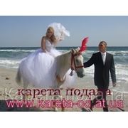 Свадебная, романтическая фото и видео сьмка с лошадьми и пони фото