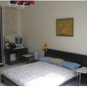 1 комнатная уютная квартира с евроремонтом фотография