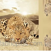 Сатин-панно диз: Cheetah