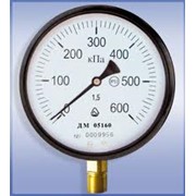 Манометр общего назначения ДМ 05 100 М фото