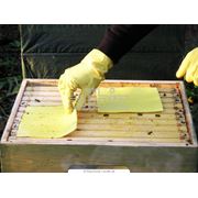 Инструменты для пчеловодства фото