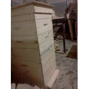 Ульи вертикальные Оборудование для пчеловодства Сельское хозяйство Купить (продажа) Киев цена производителя фото