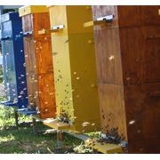 Ульи многокорпусные купить ульи многокорпусные продажа ульев многокорпусных оборудование для пчеловодства