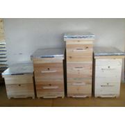 Ульикупить ульи продажа ульевоборудование для пчеловодства