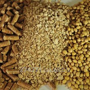 Шрот соевый фото