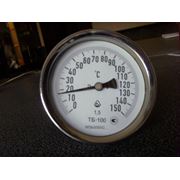 термометры биметаллические Ду63мм ; 100мм фотография