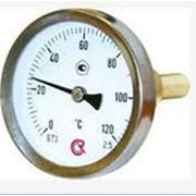 Термометр ТБ 63-50-35+50 С (О)