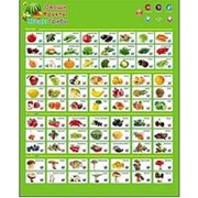 Звуковой плакат “ Рыжий кот “ Фрукты, овощи, ягоды, грибы, размер: 47,5*59 см, 3 батарейки ААА фотография