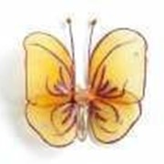 Бабочка маленькая насыщено-желтая 12*9 см фото