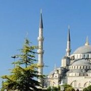 Обзорные туры по недвижимости Турции