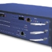 Мультисервисная оптическая платформа (мультиплексор SDH) BG-40