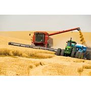 Продажа зерновых как на рынке Украины так и за ее пределами фото