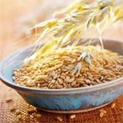 Продаем зерновые культуры: пшеница рожь кукурузу овес просо пшено рис сою рапс подсолнечник. фото