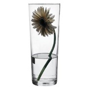 Ваза из стекла Flora (ваза стеклянная, ваза для цветов) фотография