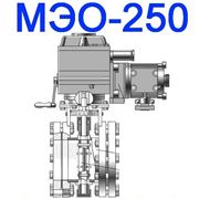 МЭО-250 Механизмы исполнительные электрические фото