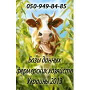 Справочник Сільхозвиробники України 2013 -- фермери фото