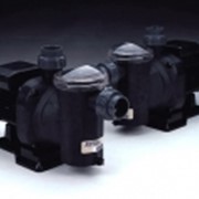 Насосы для бассейнов фото