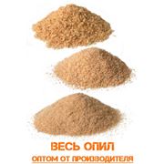 ОПТОМ Опилки стружка щепа древесная. Разные породы деревьев. фото