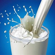 Молоко коровье непастеризованное сырое - оптом фото