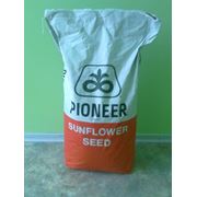 Семена гибридов Pioneer в ассортименте фото