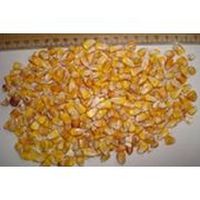 кукуруза-корм для животных урожай 2011 экспорт