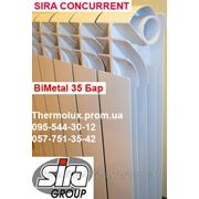 Радиатор биметаллический SIRA CONCURRENT 500/85 фото