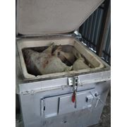 Утилизатор ветеринарных отходов фото