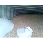 Пшеница / злаковые / масличные культуры (на экспорт) фото