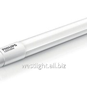 Philips Т8 10W 600mm трубчатая светодиодная лампа, ESSENTIAL LEDtube 600mm 10W865 T8 AP I фото