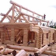 Деревянные конструкции(деревянные дома, террасы, бани, беседки) фото