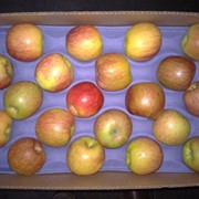 Яблоки Фуджи фото