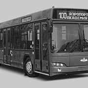 Пригородный автобус МАЗ-103 фото